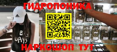 PSILOCYBIN Сланцы