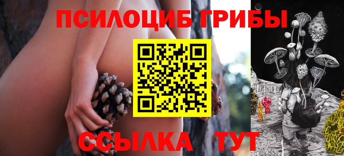 Черногорск  Галлюциногенные грибы Cubensis  Вход с VPN  Псилоцибиновые грибы Magic Shrooms 
